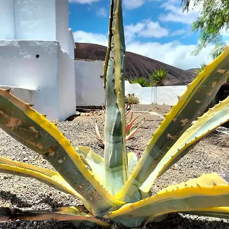 Holiday home Casa Leonida Ocean Volcano House